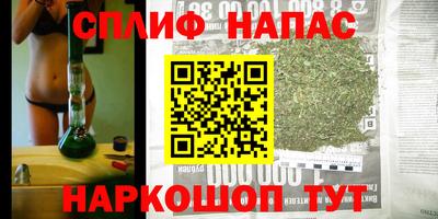 spice Будённовск