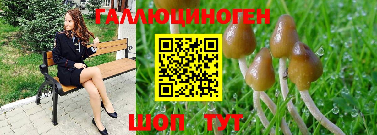 Галлюциногенные грибы GOLDEN TEACHER  Галлюциногенные грибы Cubensis  Вход с VPN  Балашиха 