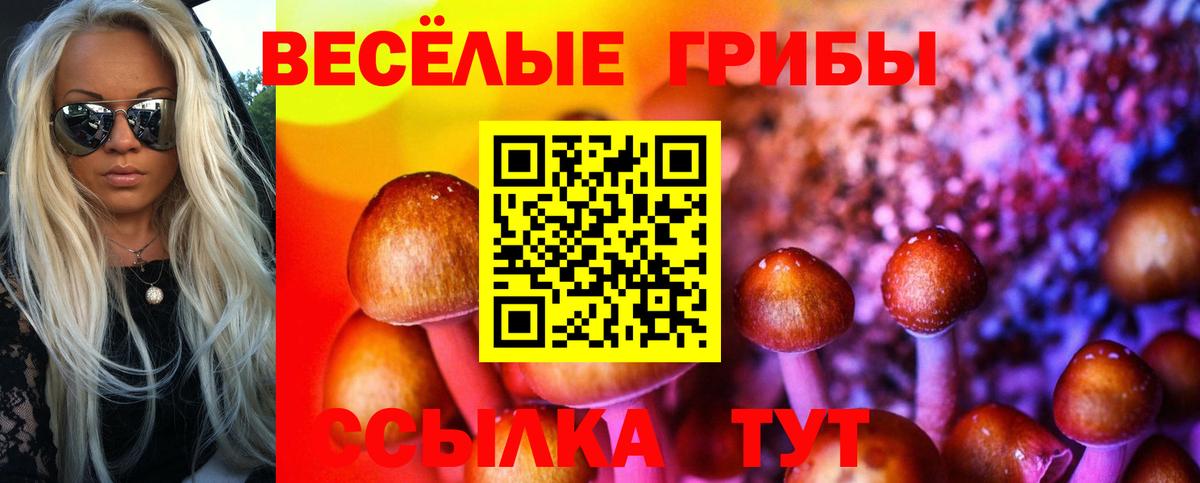 Галлюциногенные грибы Psilocybine cubensis Балашиха