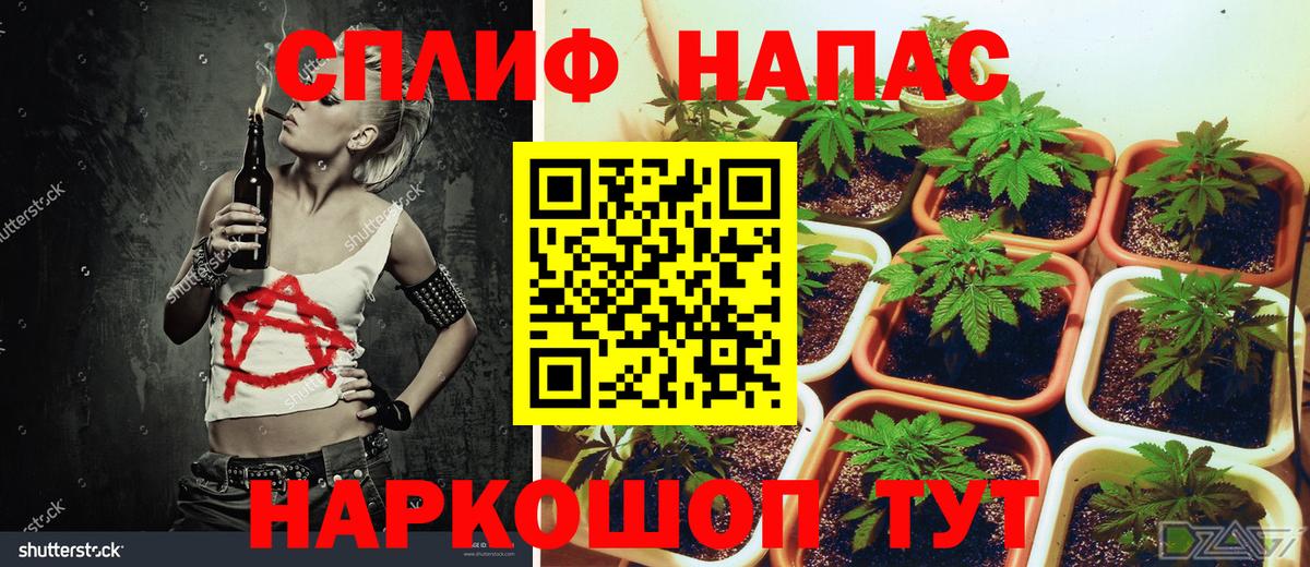 Балашиха  МАРИХУАНА сатива  Вход с VPN  МАРИХУАНА LSD WEED 